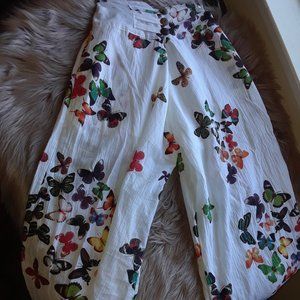 Beautiful 🦋🦋🦋🦋 Butterfly Gaucho